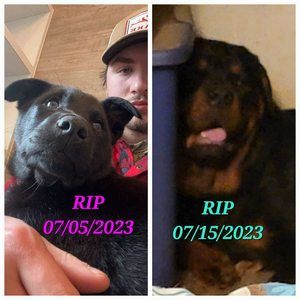 Meet your Posher, Jerri